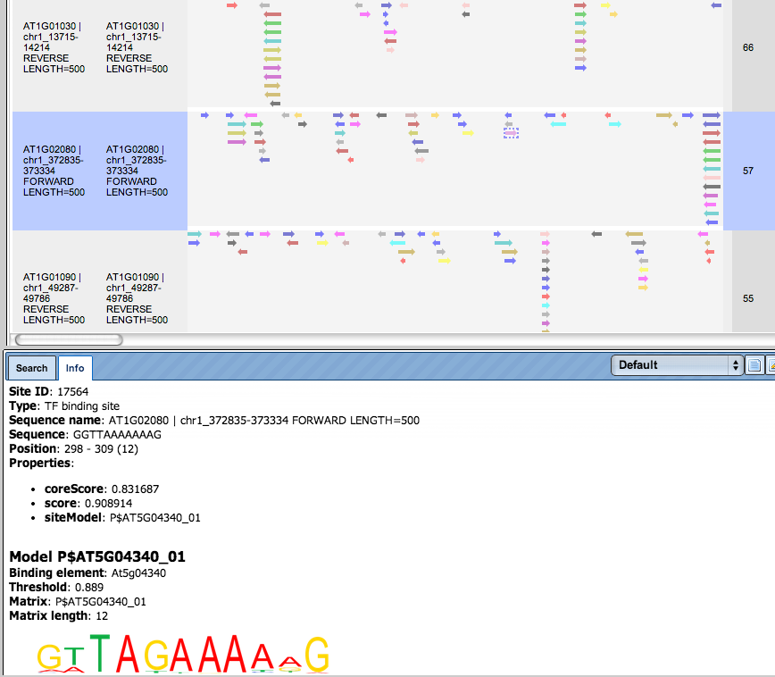 report on selected matrices: visualize the found TFBS in the input sequence