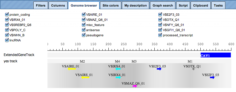 genome browser visualization of Construct composite modules analysis results
